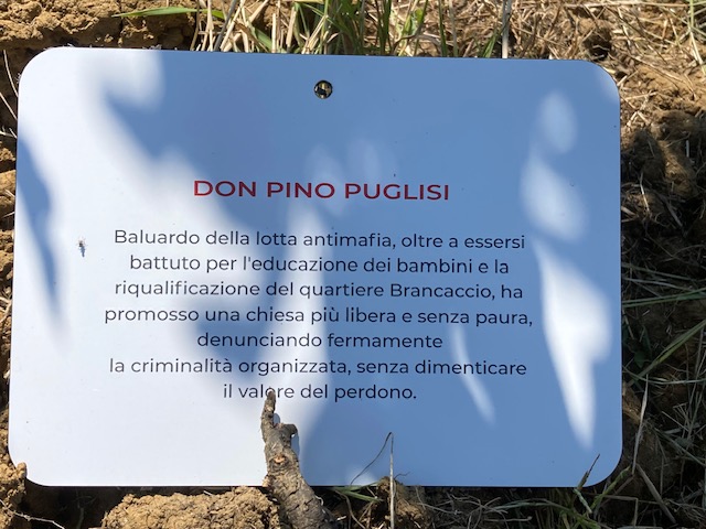 Piantumazione albero in memoria del Beato Giuseppe Puglisi a Rondine, borgo della Pace (Arezzo)