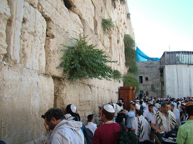 Gerusalemme - Muro del Pianto