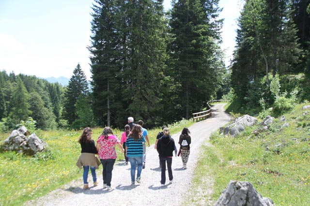 Escursione presso le dolomiti al confine con l�Austria