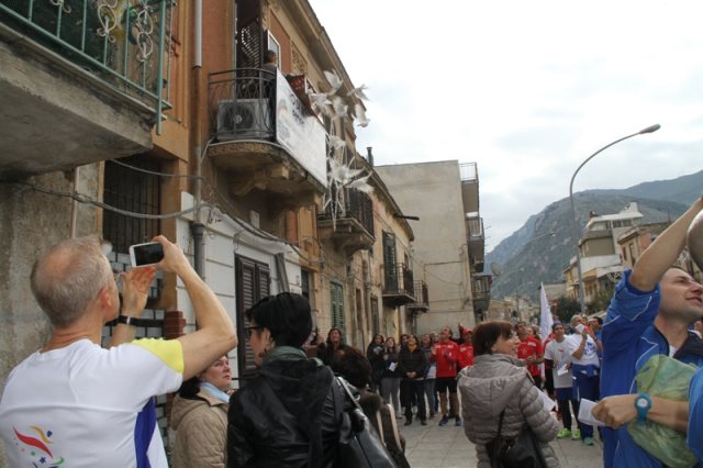 Volata delle colombe simbolo della pace