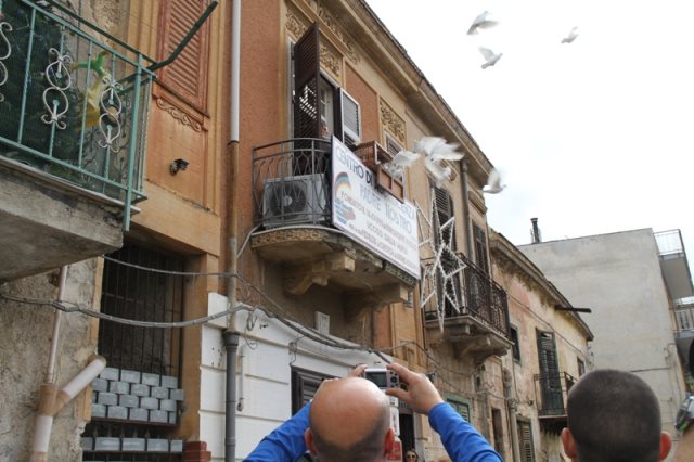 Volata delle colombe simbolo della pace