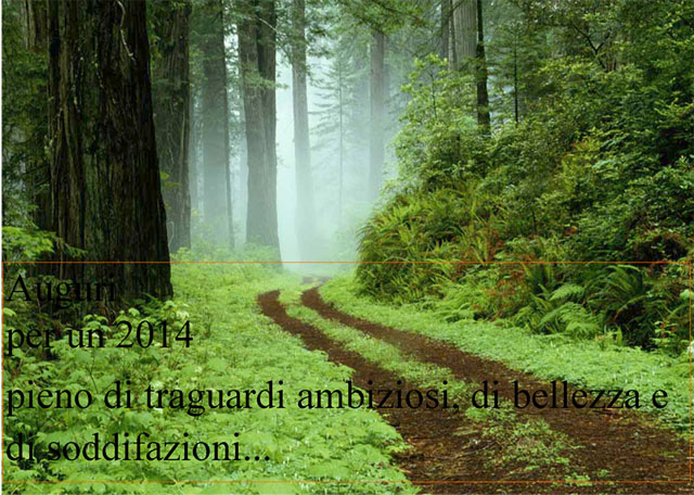 Auguri 2014