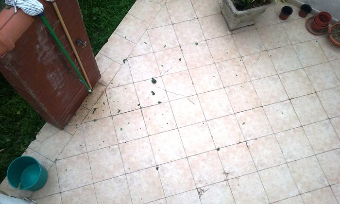 I frammenti delle bottiglie lanciate